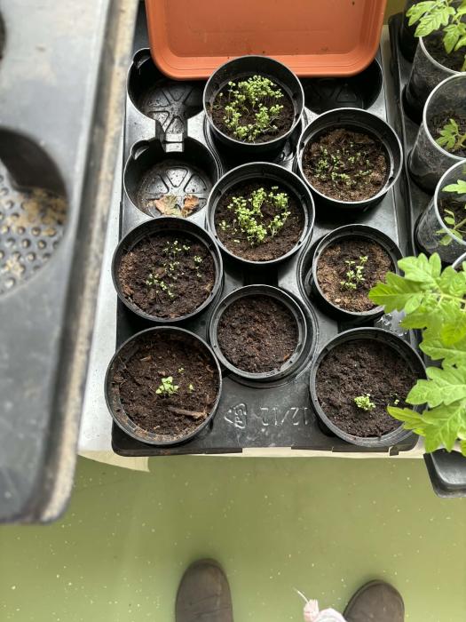 Messengercreation3888992C-C3B5-488D-A032-DFBBACFA3F73