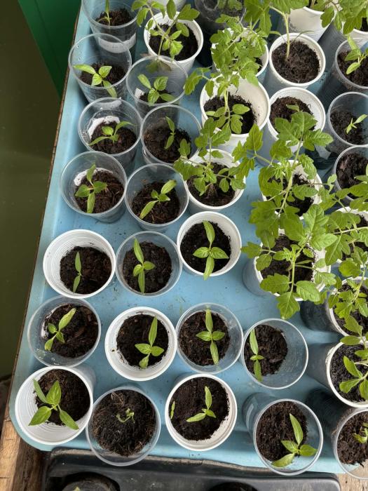 MessengercreationAF1AE09B-BF39-4E01-BE6D-D1AE83F67247